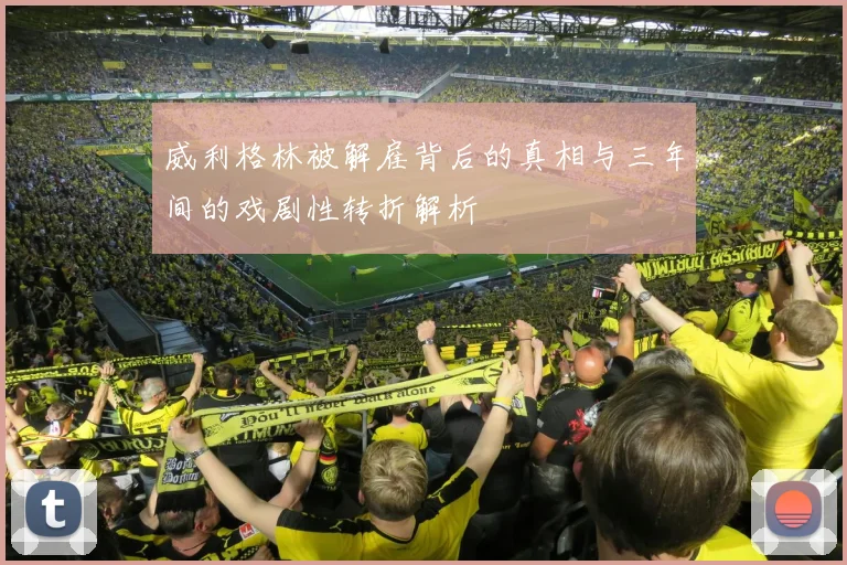 威利格林被解雇背后的真相与三年间的戏剧性转折解析