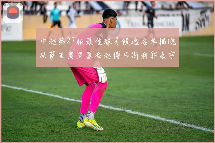 中超第27轮最佳球员候选名单揭晓纳萨里奥罗慕洛赵博韦斯利郭嘉宇争夺荣誉